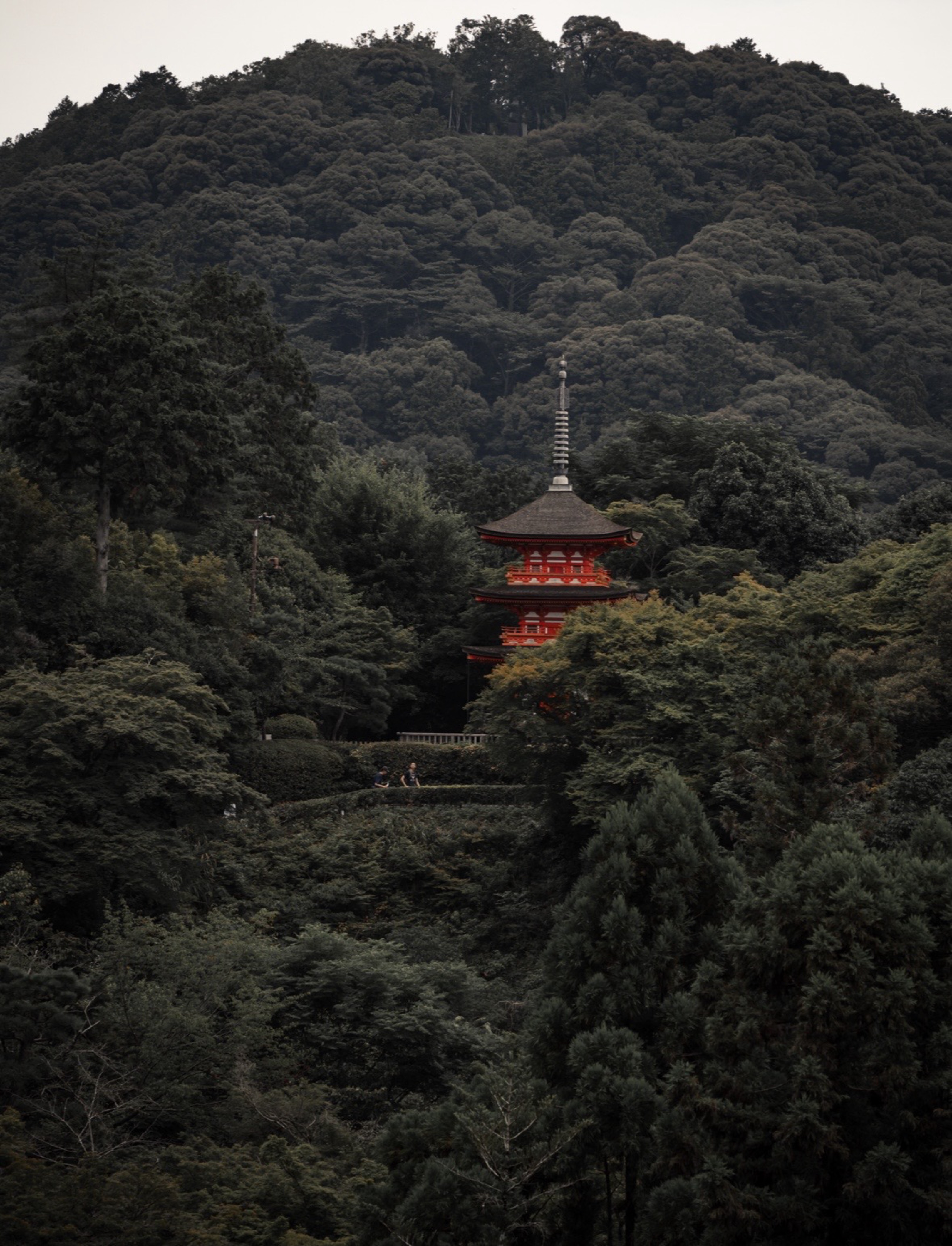 清水寺 街拍照片