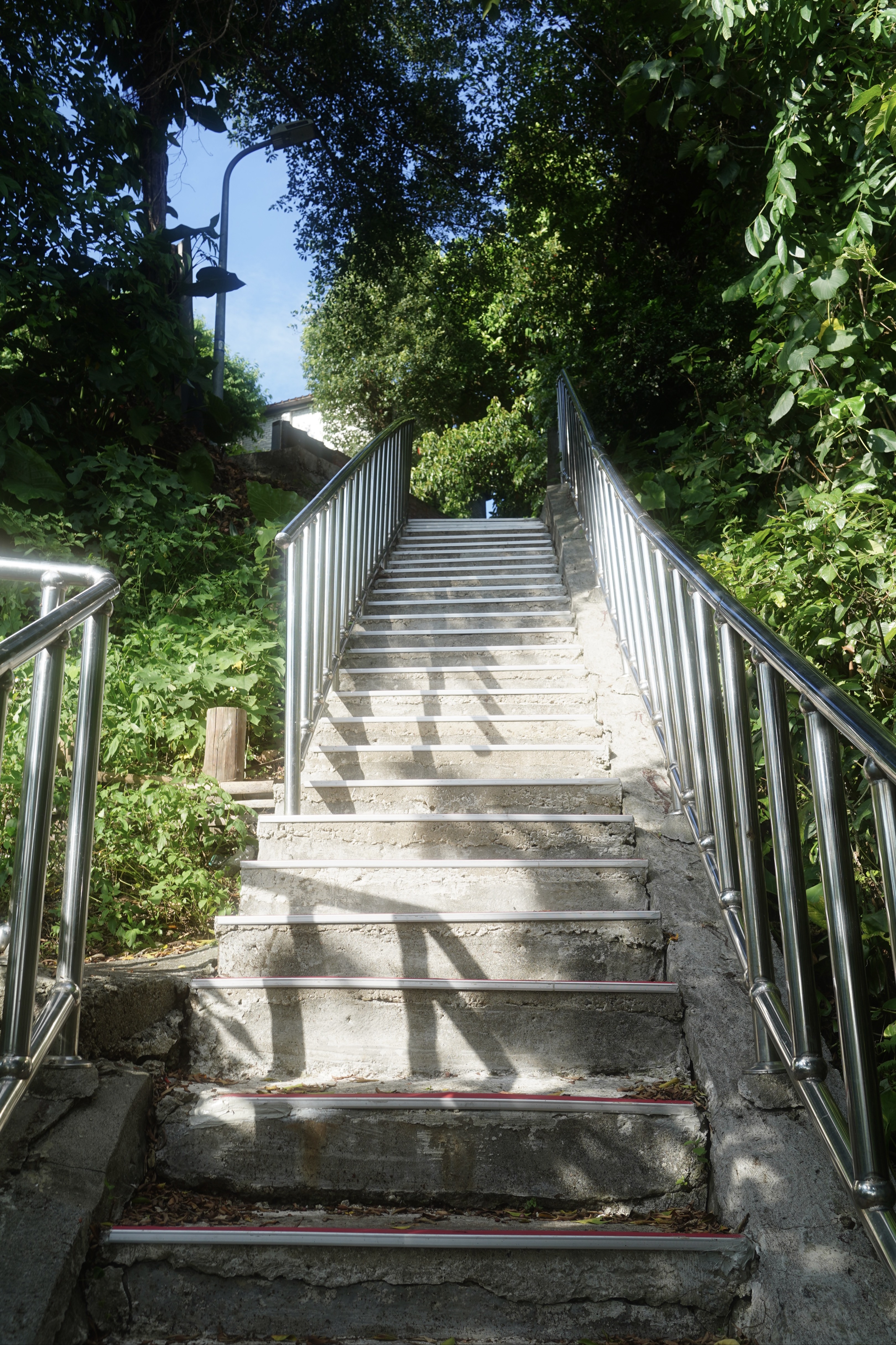 蟾蜍山 | 煥民新村 街拍照片
