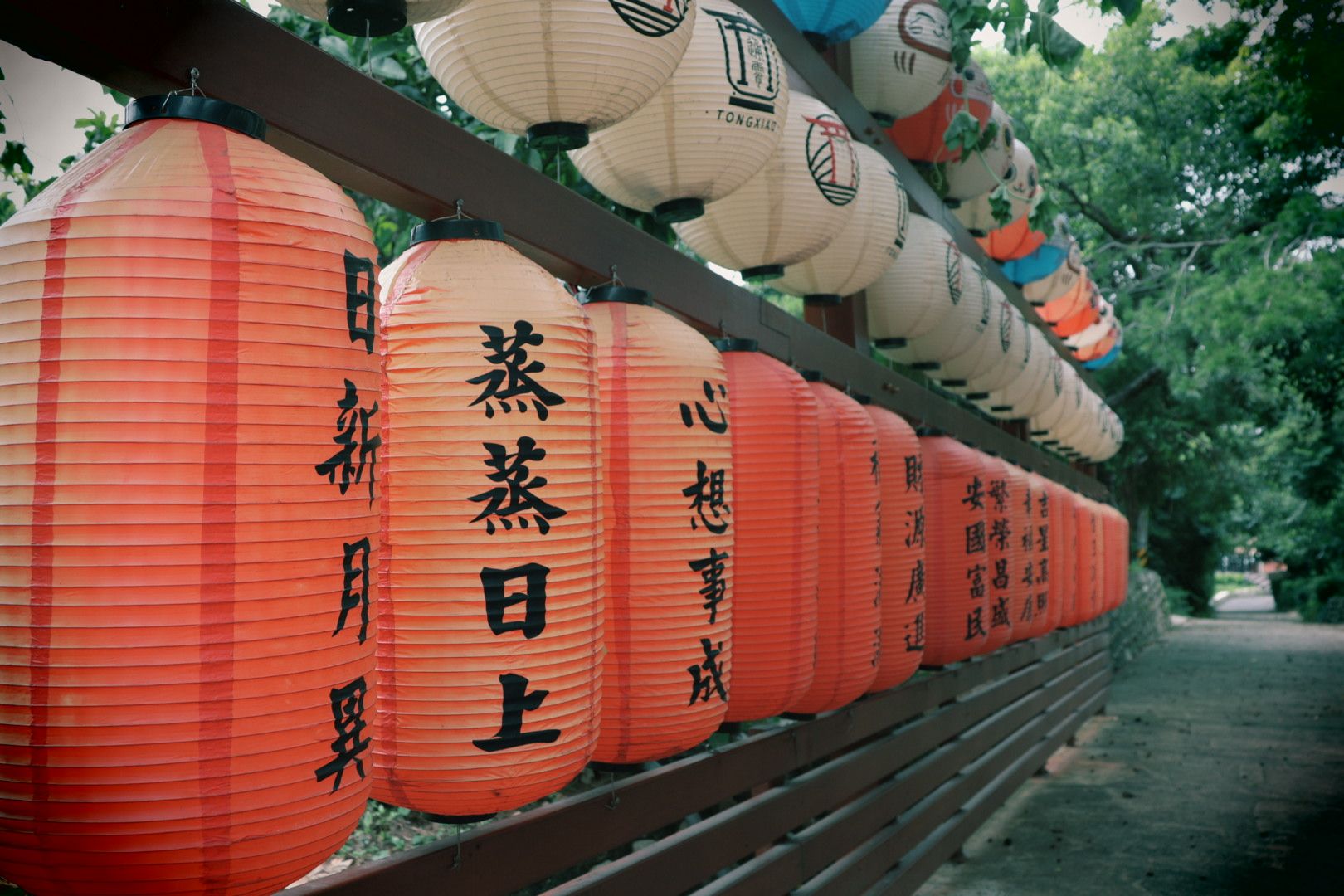 通霄神社 街拍照片