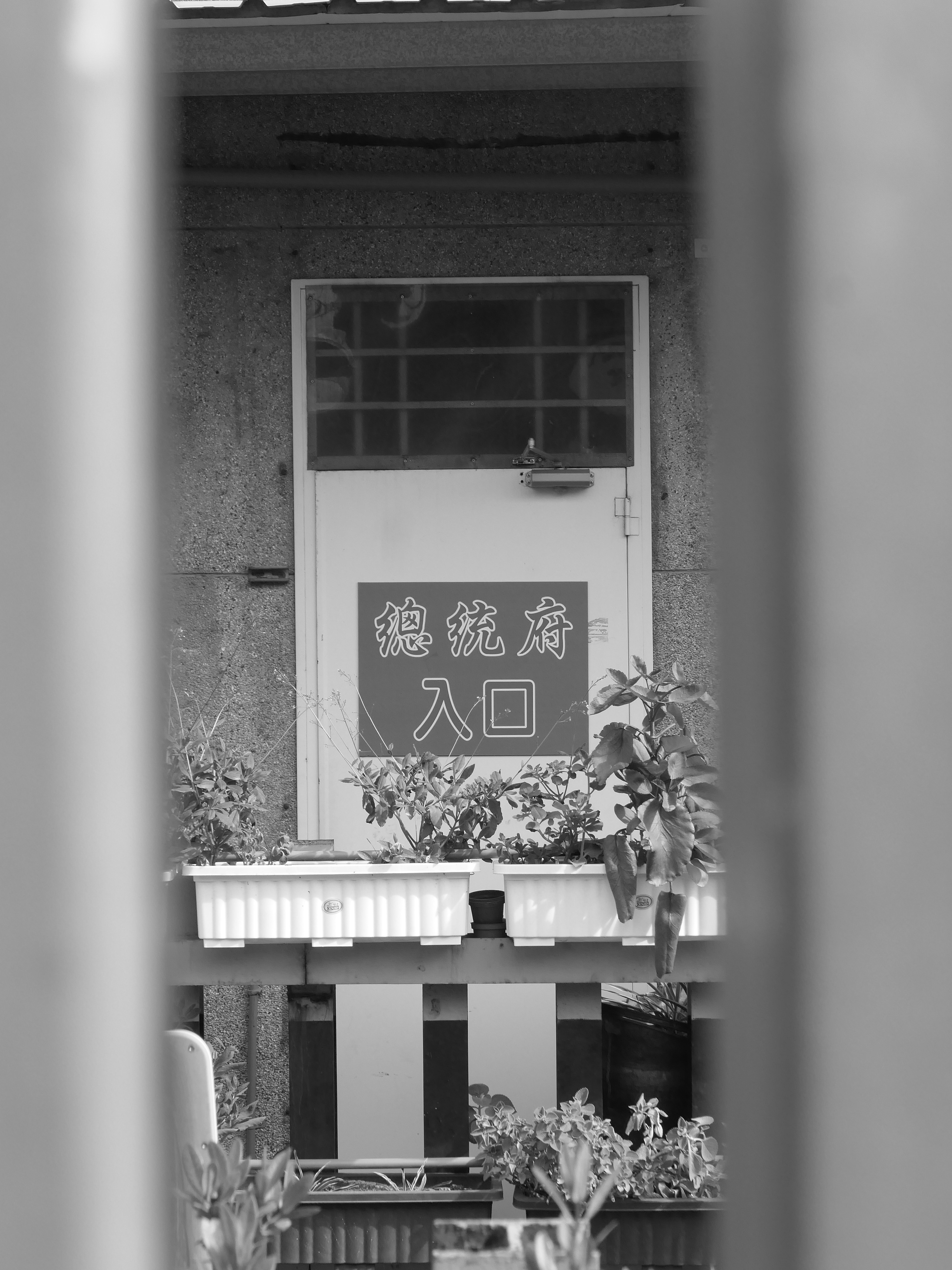 嘉義也有總統府了 街拍照片