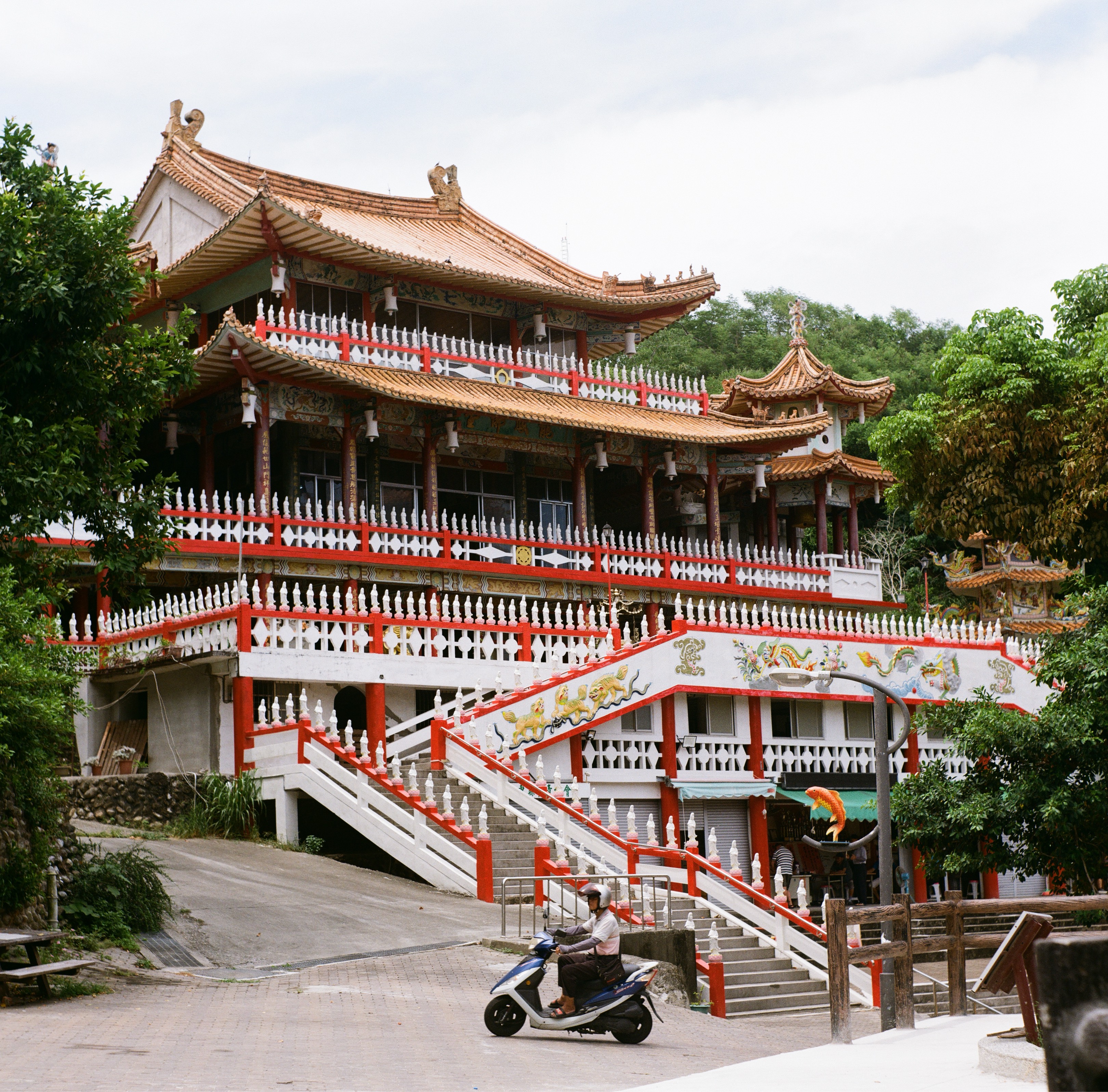 鯉魚山對於台東人來說是什麼地方 街拍照片